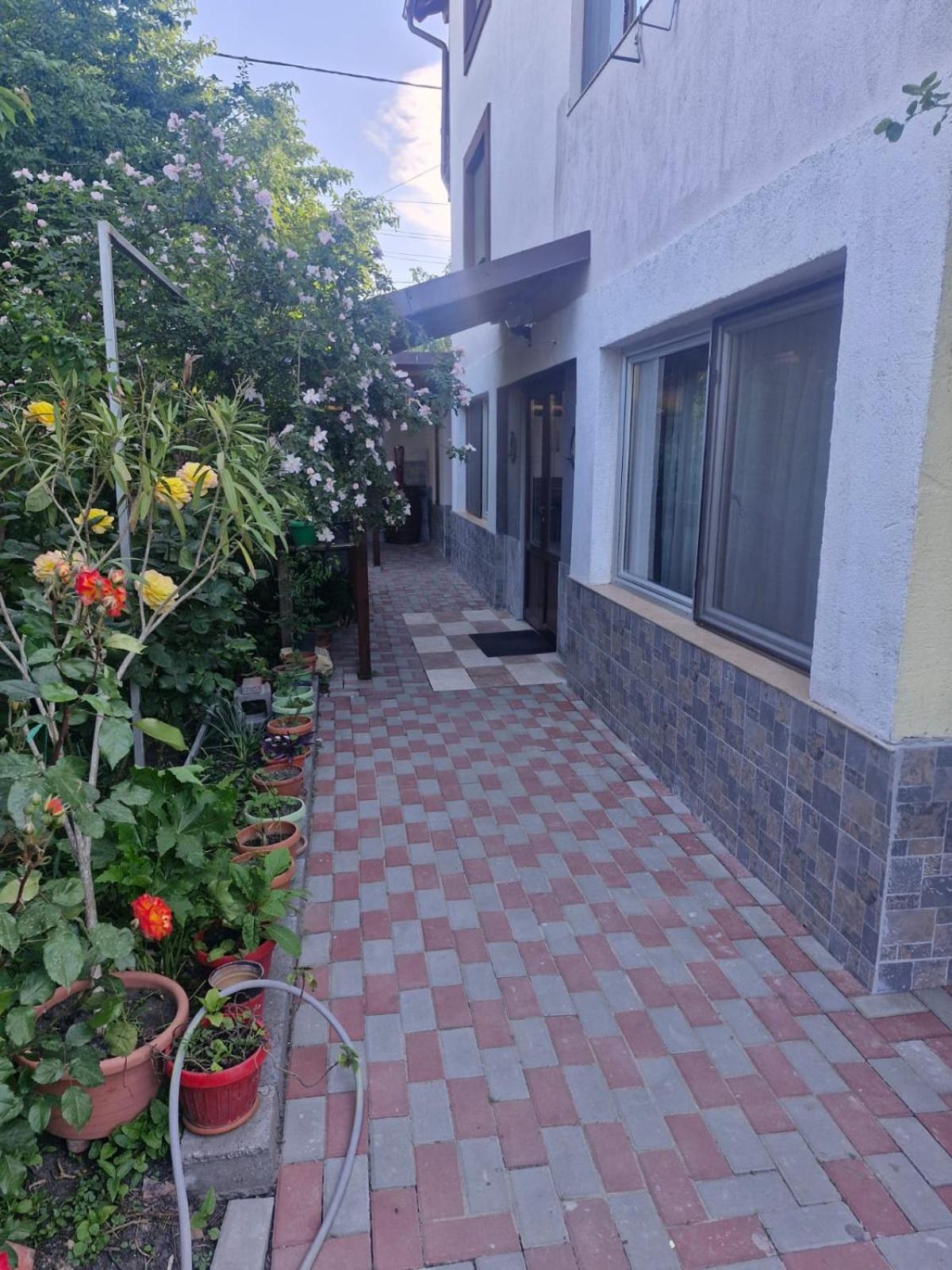 Casa Donau Delta Otel Sulina Dış mekan fotoğraf